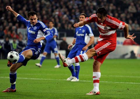 体育事业的 体育事业的