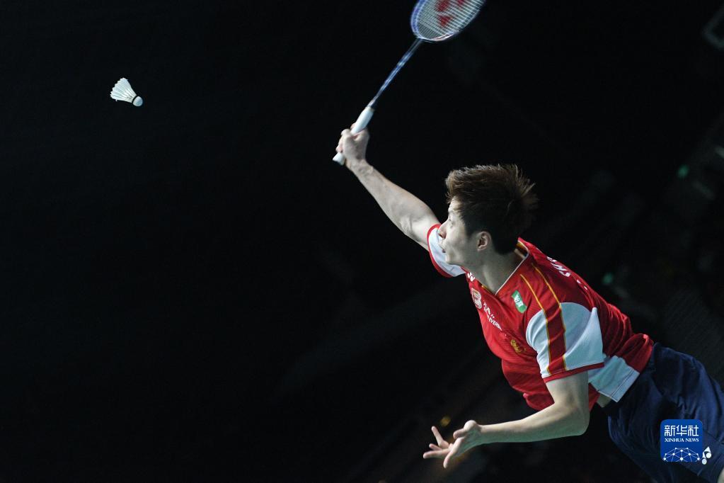 致力于提高 致力于提高